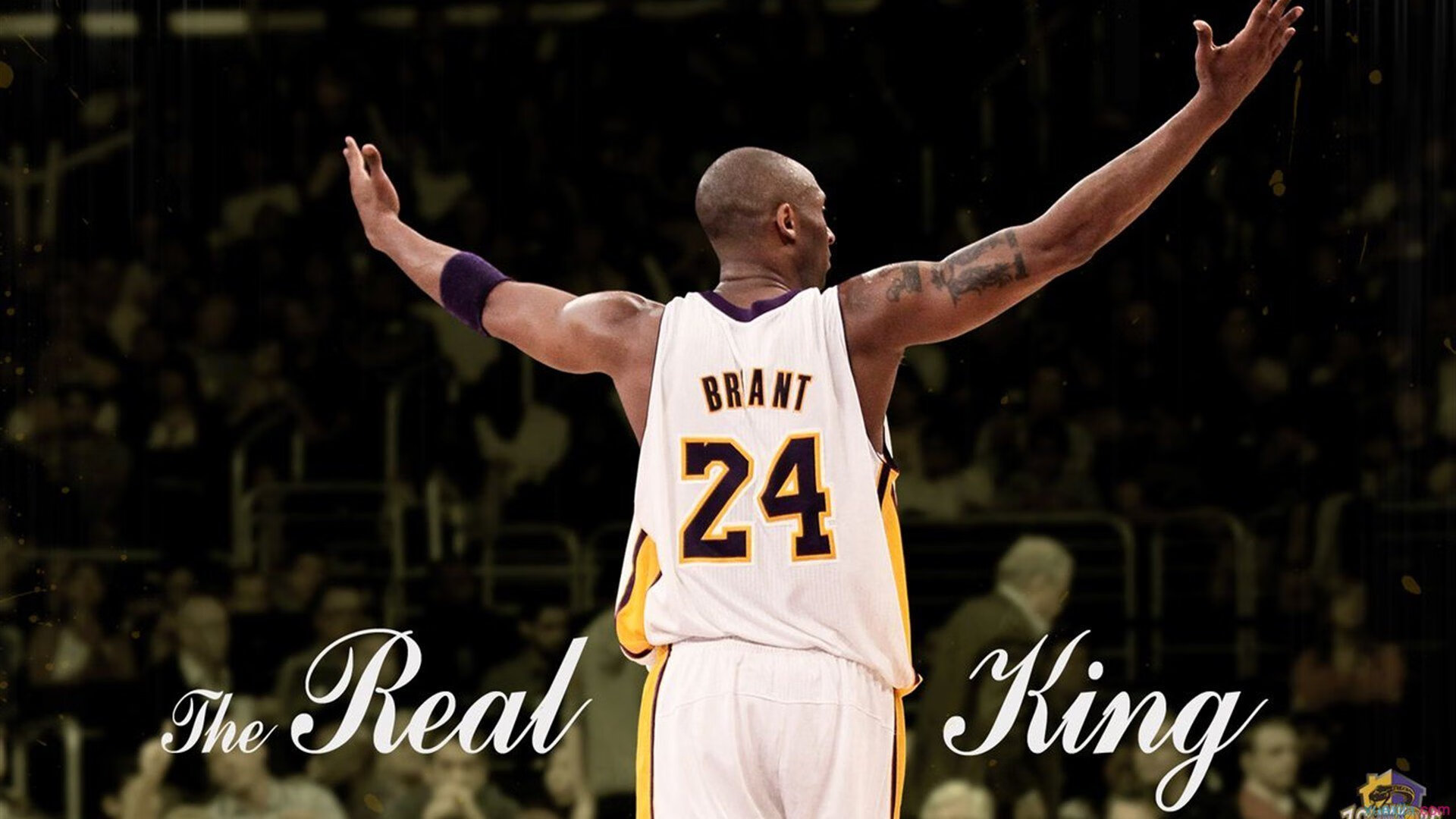 开云电竞在线-《Hope：新星崛起，点燃战场激情》，崛起的新星